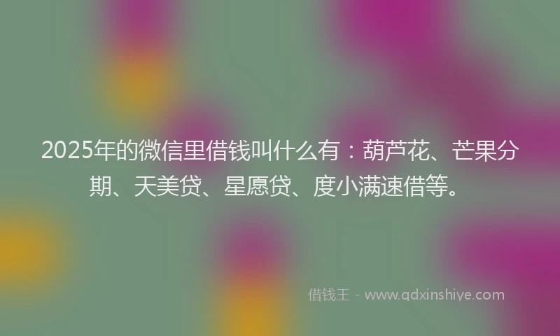 2025年的微信里借钱叫什么有：葫芦花、芒果分期、天美贷、星愿贷、度小满速借等。