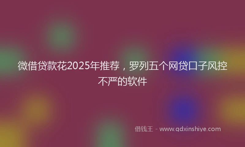 微借贷款花2025年推荐，罗列五个网贷口子风控不严的软件