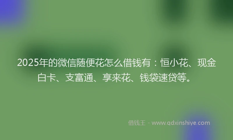 2025年的微信随便花怎么借钱有：恒小花、现金白卡、支富通、享来花、钱袋速贷等。