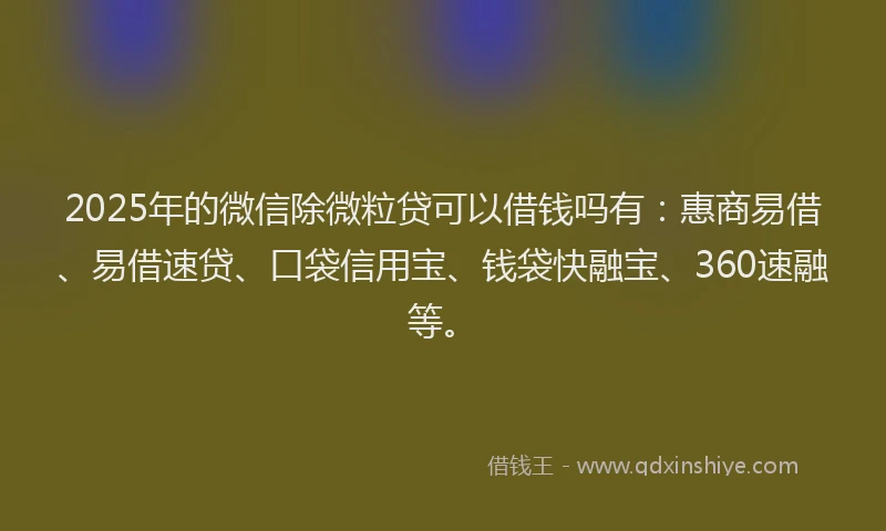 2025年的微信除微粒贷可以借钱吗有：惠商易借、易借速贷、口袋信用宝、钱袋快融宝、360速融等。