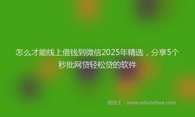 怎么才能线上借钱到微信2025年精选，分享5个秒批网贷轻松贷的软件