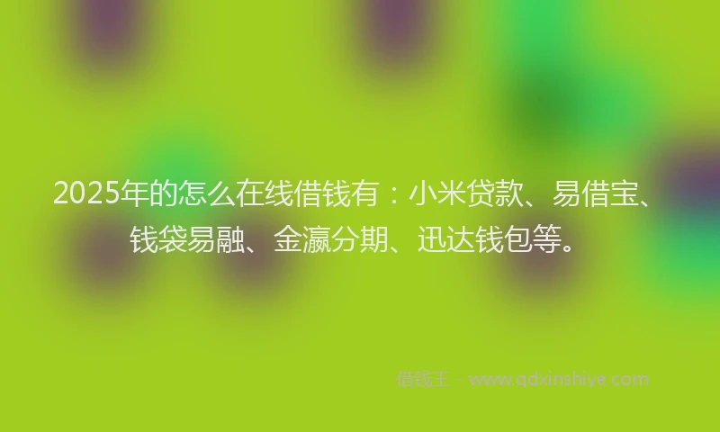 2025年的怎么在线借钱有：小米贷款、易借宝、钱袋易融、金瀛分期、迅达钱包等。