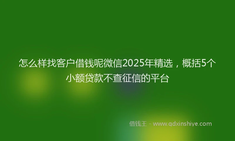 怎么样找客户借钱呢微信2025年精选，概括5个小额贷款不查征信的平台