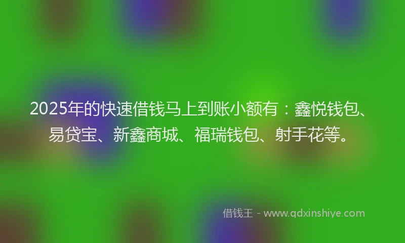 2025年的快速借钱马上到账小额有：鑫悦钱包、易贷宝、新鑫商城、福瑞钱包、射手花等。
