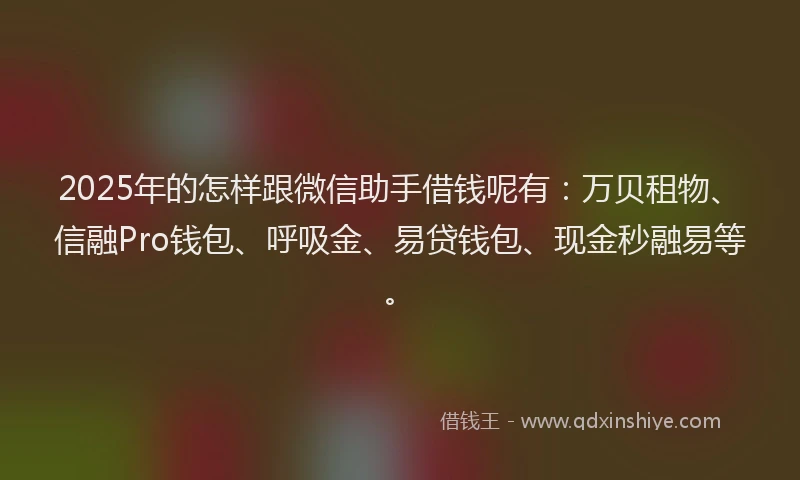 2025年的怎样跟微信助手借钱呢有：万贝租物、信融Pro钱包、呼吸金、易贷钱包、现金秒融易等。