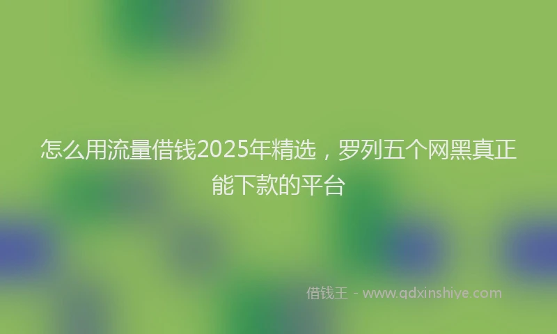 怎么用流量借钱2025年精选，罗列五个网黑真正能下款的平台