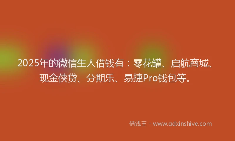 2025年的微信生人借钱有：零花罐、启航商城、现金侠贷、分期乐、易捷Pro钱包等。