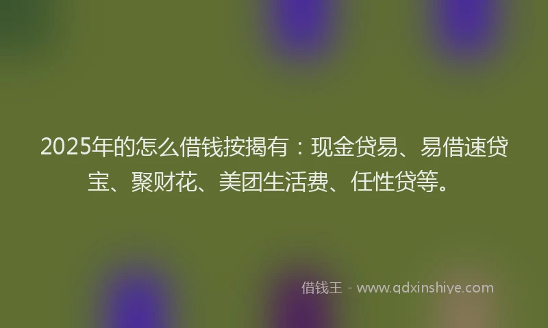 2025年的怎么借钱按揭有：现金贷易、易借速贷宝、聚财花、美团生活费、任性贷等。