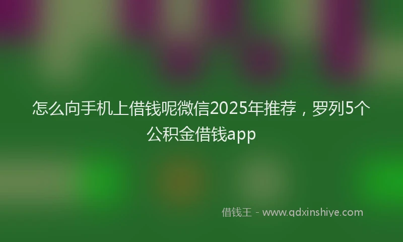 怎么向手机上借钱呢微信2025年推荐，罗列5个公积金借钱app