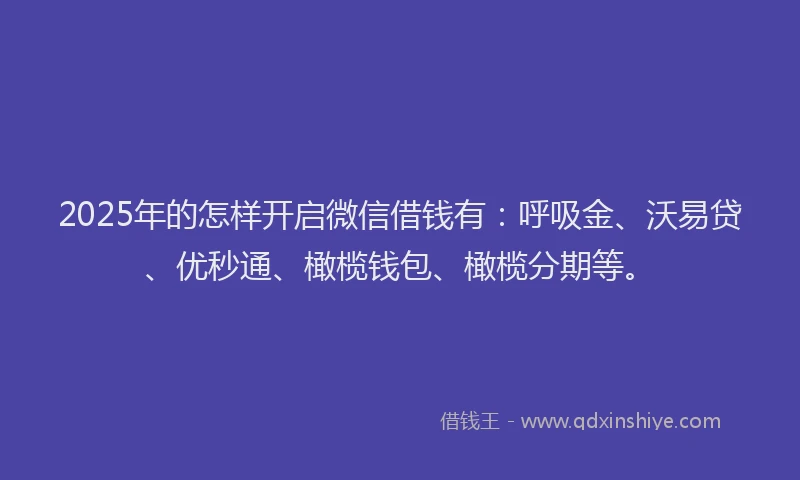 2025年的怎样开启微信借钱有：呼吸金、沃易贷、优秒通、橄榄钱包、橄榄分期等。