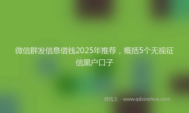 微信群发信息借钱2025年推荐，概括5个无视征信黑户口子