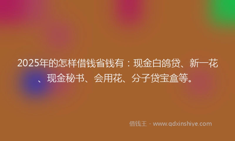 2025年的怎样借钱省钱有：现金白鸽贷、新一花、现金秘书、会用花、分子贷宝盒等。