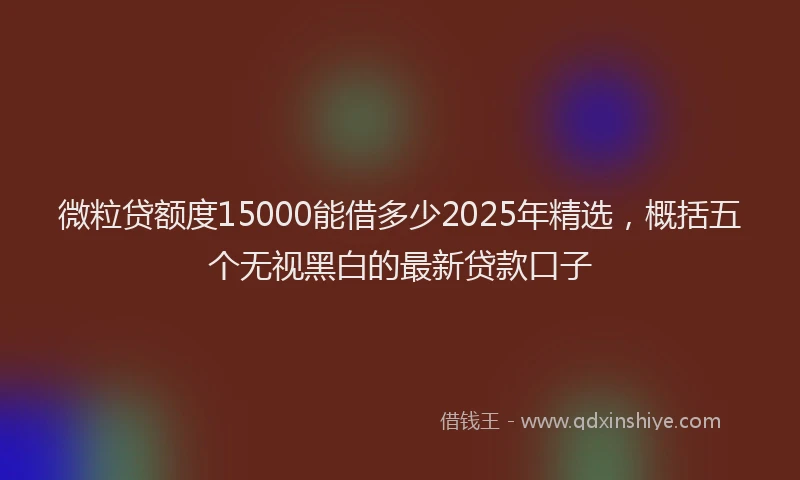 微粒贷额度15000能借多少2025年精选，概括五个无视黑白的最新贷款口子