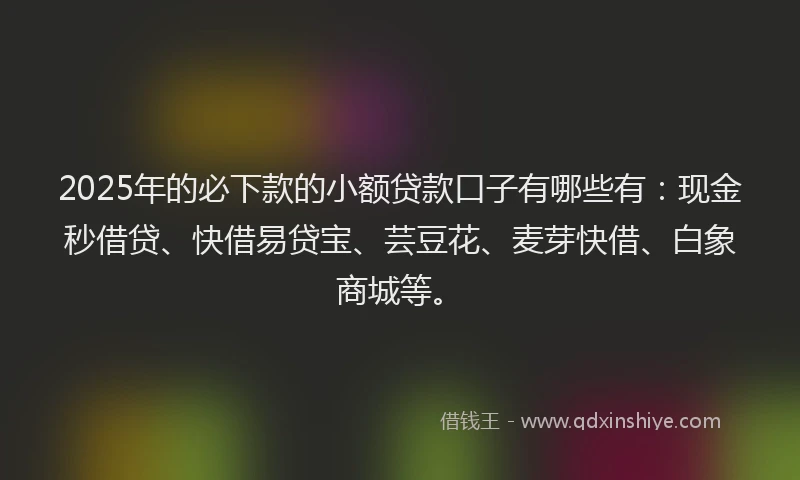 2025年的必下款的小额贷款口子有哪些有：现金秒借贷、快借易贷宝、芸豆花、麦芽快借、白象商城等。