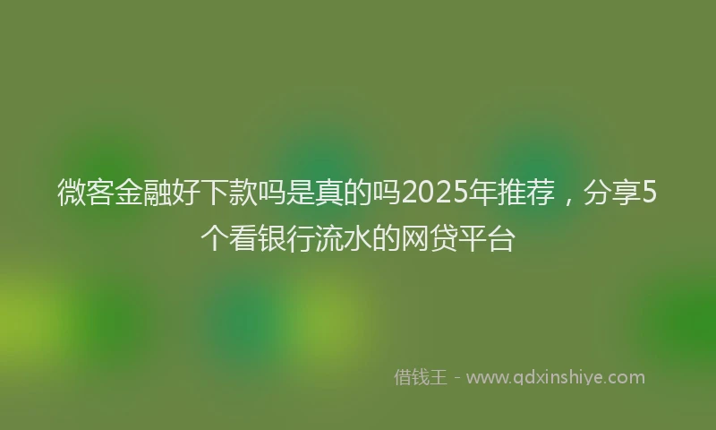 微客金融好下款吗是真的吗2025年推荐，分享5个看银行流水的网贷平台