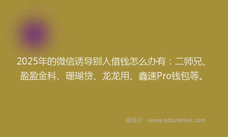 2025年的微信诱导别人借钱怎么办有：二师兄、盈盈金科、珊瑚贷、龙龙用、鑫速Pro钱包等。