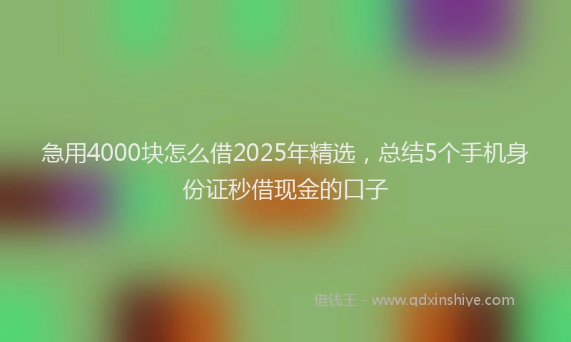 急用4000块怎么借2025年精选，总结5个手机身份证秒借现金的口子