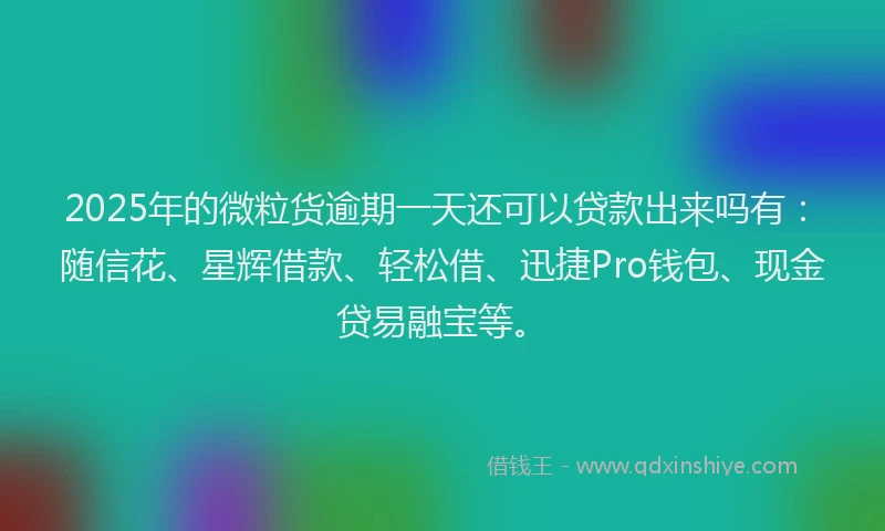 2025年的微粒货逾期一天还可以贷款出来吗有：随信花、星辉借款、轻松借、迅捷Pro钱包、现金贷易融宝等。
