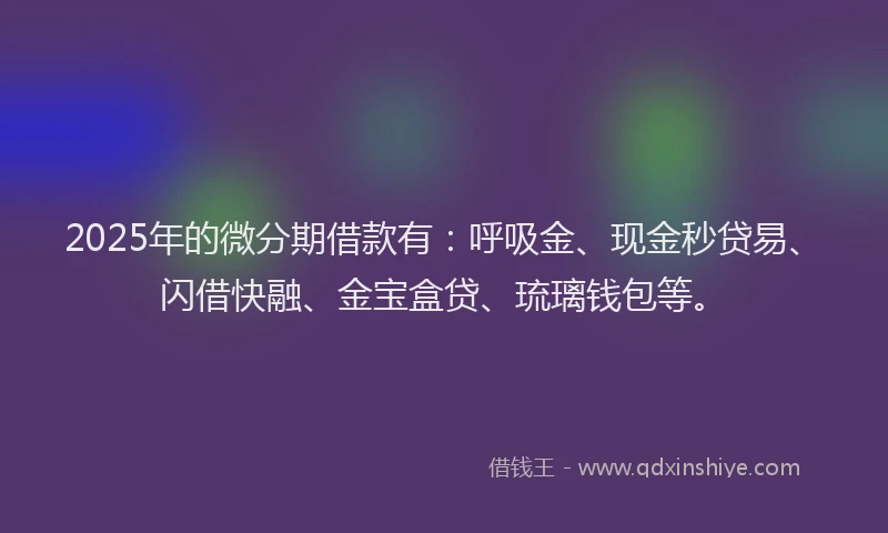 2025年的微分期借款有：呼吸金、现金秒贷易、闪借快融、金宝盒贷、琉璃钱包等。