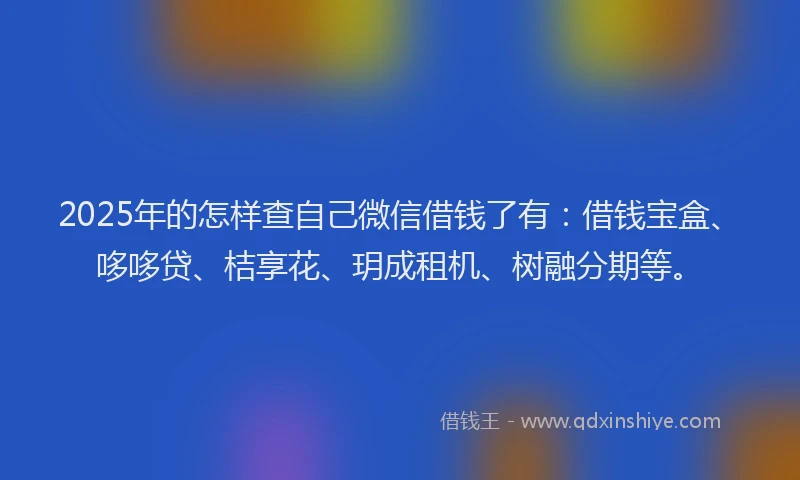 2025年的怎样查自己微信借钱了有：借钱宝盒、哆哆贷、桔享花、玥成租机、树融分期等。