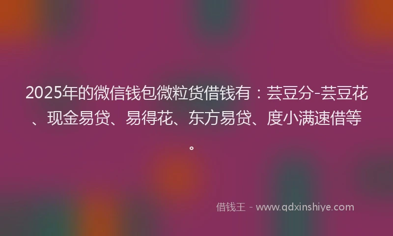 2025年的微信钱包微粒货借钱有：芸豆分-芸豆花、现金易贷、易得花、东方易贷、度小满速借等。