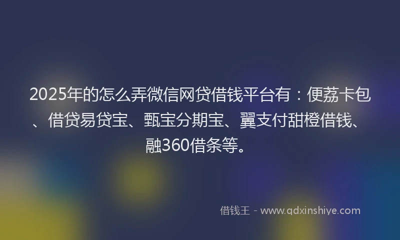 2025年的怎么弄微信网贷借钱平台有：便荔卡包、借贷易贷宝、甄宝分期宝、翼支付甜橙借钱、融360借条等。