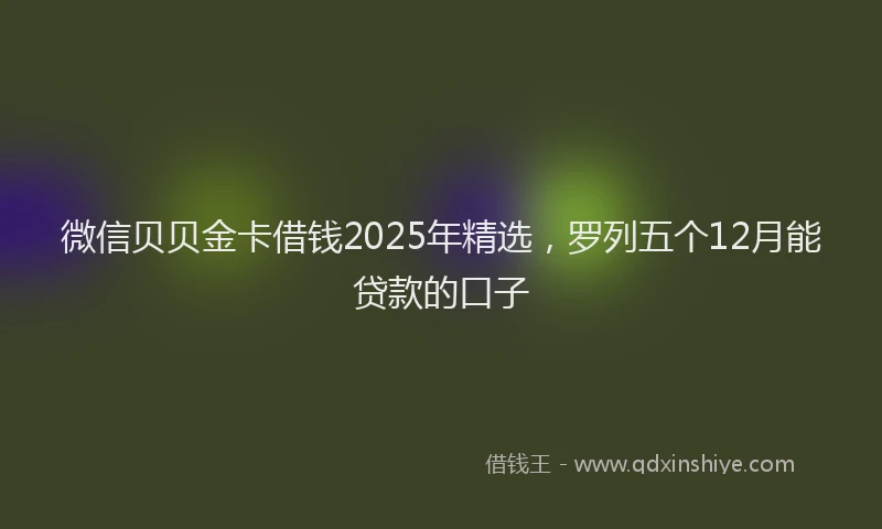 微信贝贝金卡借钱2025年精选，罗列五个12月能贷款的口子