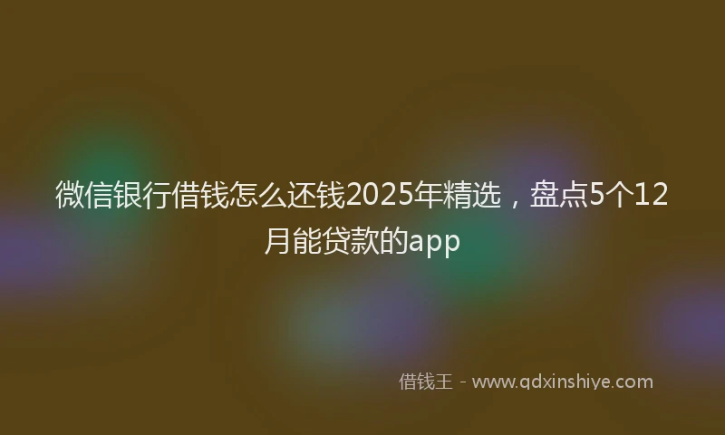 微信银行借钱怎么还钱2025年精选，盘点5个12月能贷款的app