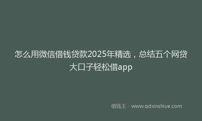怎么用微信借钱贷款2025年精选，总结五个网贷大口子轻松借app
