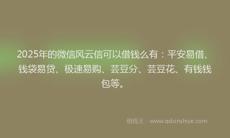 2025年的微信风云信可以借钱么有：平安易借、钱袋易贷、极速易购、芸豆分、芸豆花、有钱钱包等。