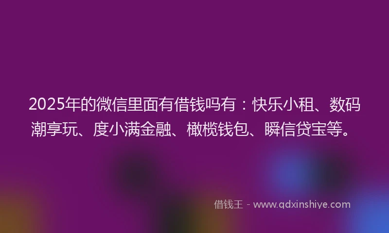 2025年的微信里面有借钱吗有：快乐小租、数码潮享玩、度小满金融、橄榄钱包、瞬信贷宝等。