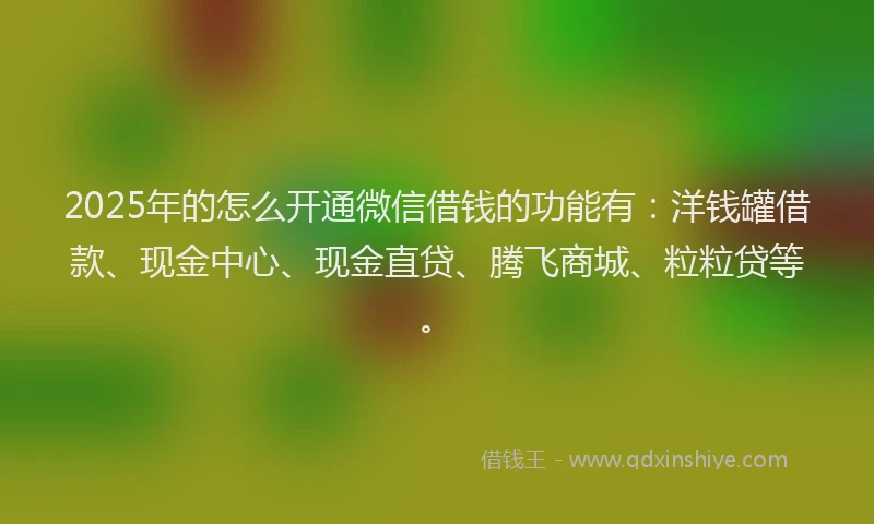 2025年的怎么开通微信借钱的功能有：洋钱罐借款、现金中心、现金直贷、腾飞商城、粒粒贷等。