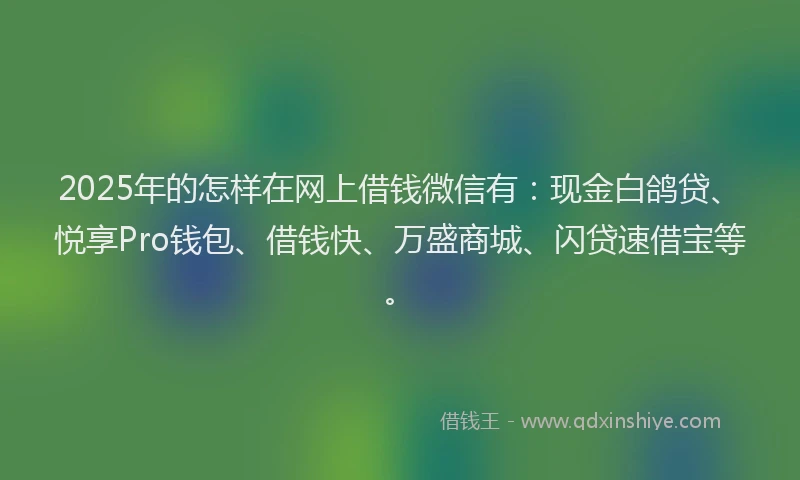 2025年的怎样在网上借钱微信有：现金白鸽贷、悦享Pro钱包、借钱快、万盛商城、闪贷速借宝等。
