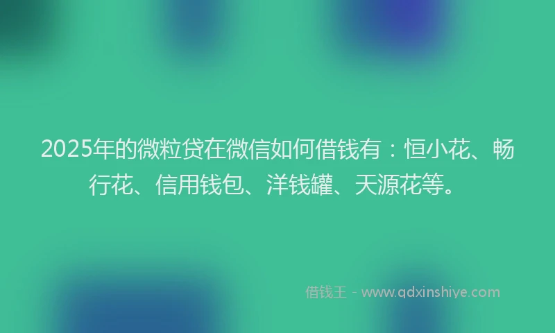 2025年的微粒贷在微信如何借钱有：恒小花、畅行花、信用钱包、洋钱罐、天源花等。
