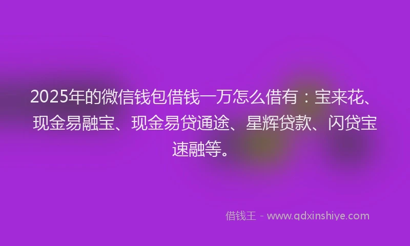 2025年的微信钱包借钱一万怎么借有：宝来花、现金易融宝、现金易贷通途、星辉贷款、闪贷宝速融等。