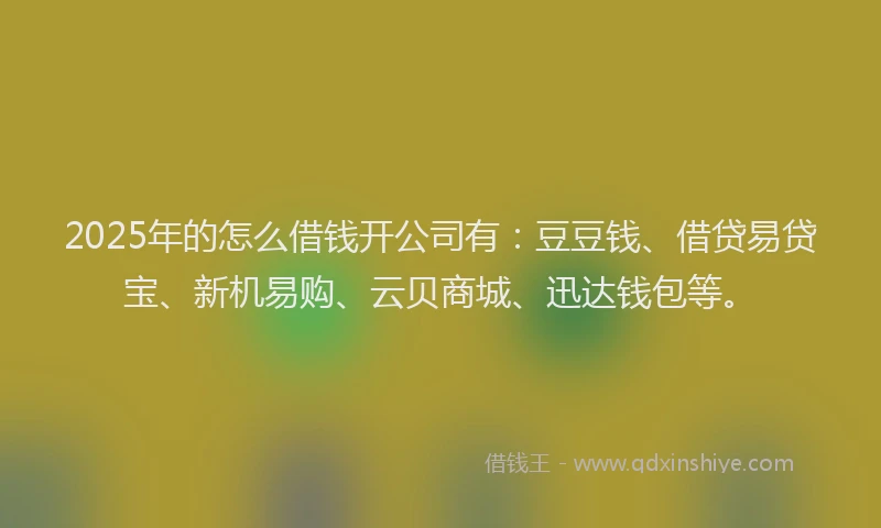 2025年的怎么借钱开公司有：豆豆钱、借贷易贷宝、新机易购、云贝商城、迅达钱包等。
