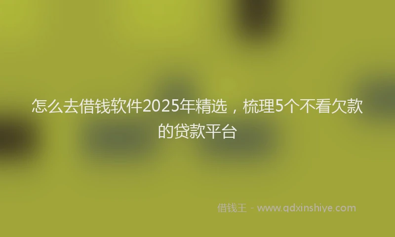 怎么去借钱软件2025年精选，梳理5个不看欠款的贷款平台
