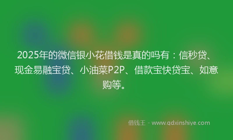 2025年的微信银小花借钱是真的吗有：信秒贷、现金易融宝贷、小油菜P2P、借款宝快贷宝、如意购等。
