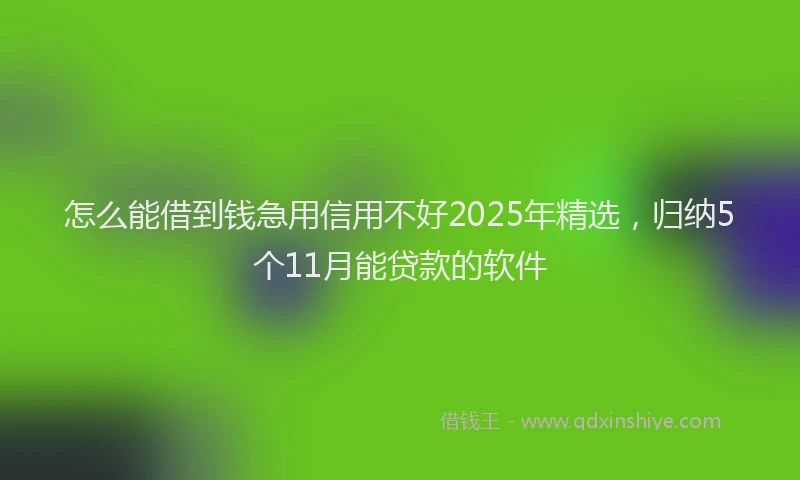 怎么能借到钱急用信用不好2025年精选，归纳5个11月能贷款的软件