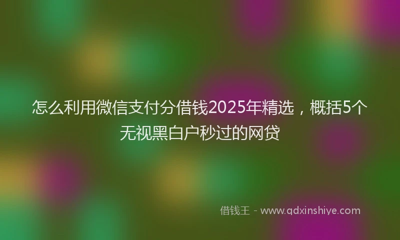 怎么利用微信支付分借钱2025年精选，概括5个无视黑白户秒过的网贷