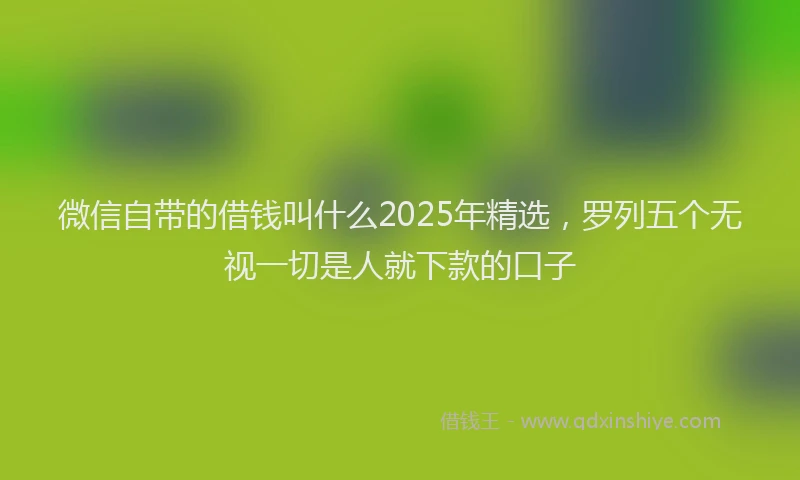 微信自带的借钱叫什么2025年精选，罗列五个无视一切是人就下款的口子