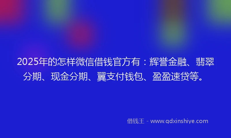 2025年的怎样微信借钱官方有：辉誉金融、翡翠分期、现金分期、翼支付钱包、盈盈速贷等。