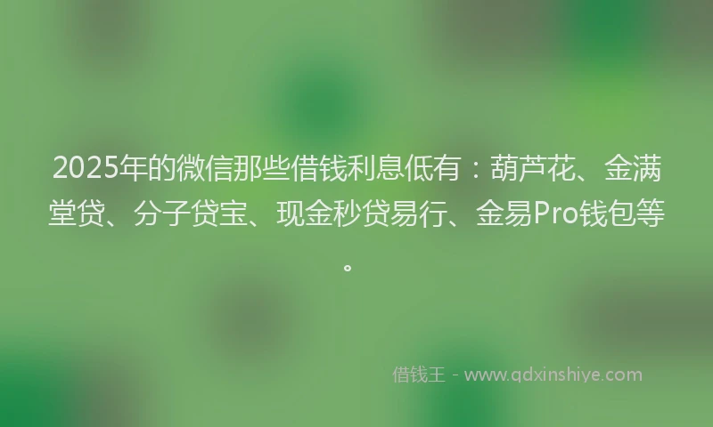 2025年的微信那些借钱利息低有：葫芦花、金满堂贷、分子贷宝、现金秒贷易行、金易Pro钱包等。