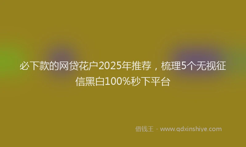 必下款的网贷花户2025年推荐，梳理5个无视征信黑白100%秒下平台
