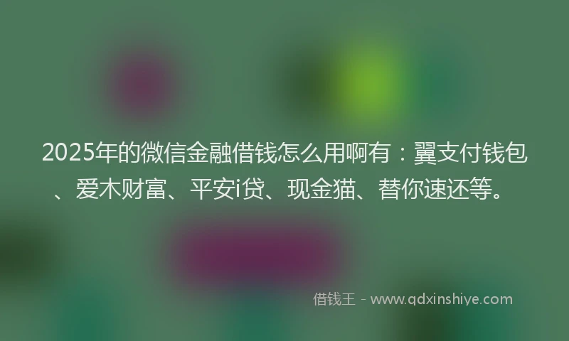2025年的微信金融借钱怎么用啊有：翼支付钱包、爱木财富、平安i贷、现金猫、替你速还等。