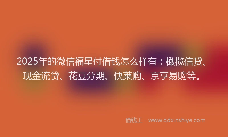 2025年的微信福星付借钱怎么样有：橄榄信贷、现金流贷、花豆分期、快莱购、京享易购等。