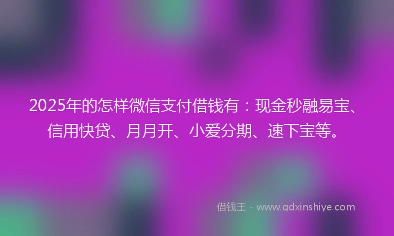 2025年的怎样微信支付借钱有：现金秒融易宝、信用快贷、月月开、小爱分期、速下宝等。