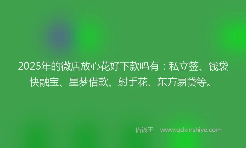 2025年的微店放心花好下款吗有：私立签、钱袋快融宝、星梦借款、射手花、东方易贷等。