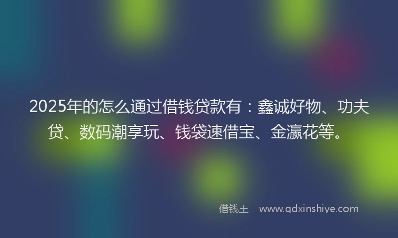 2025年的怎么通过借钱贷款有：鑫诚好物、功夫贷、数码潮享玩、钱袋速借宝、金瀛花等。