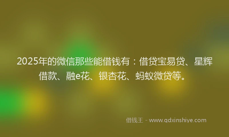2025年的微信那些能借钱有：借贷宝易贷、星辉借款、融e花、银杏花、蚂蚁微贷等。
